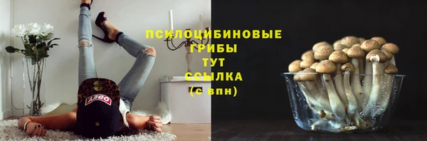 дмт Горнозаводск