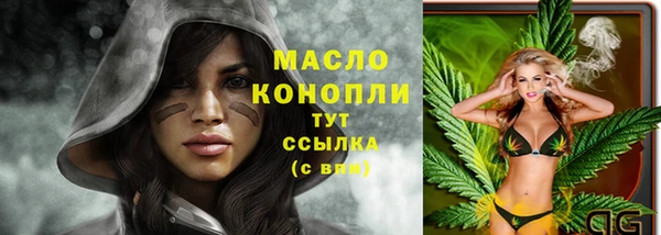 дмт Горнозаводск