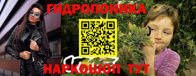 прущие крисы Камышлов