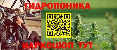 прущие крисы Камышлов