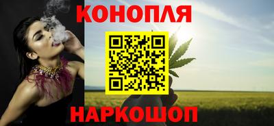 прущие крисы Камышлов