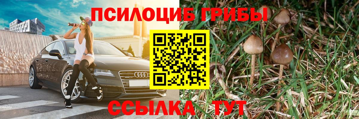 Галлюциногенные грибы GOLDEN TEACHER Москва