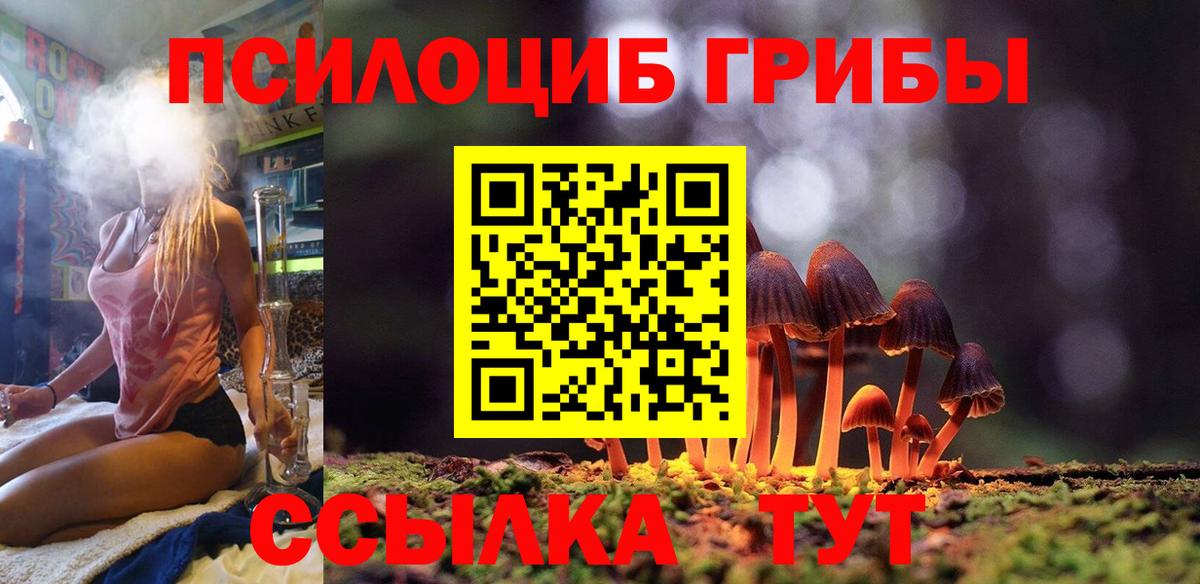 Москва  Галлюциногенные грибы прущие грибы  Вход с VPN 