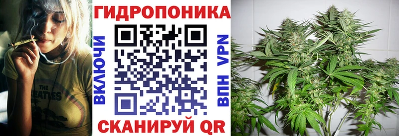 Марихуана сатива Москва